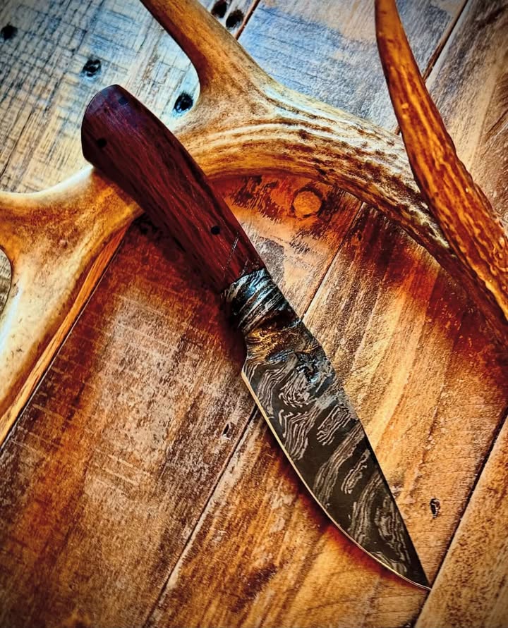 Forged knife by Vince of Black Bird Blades resting against antlers and wood, showcasing a patterned steel blade and dark wooden handle; professionally heat treated in a Jen-Ken kiln.